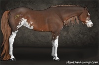 Horse Color:Liver Chestnut Sabino 