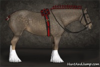 Horse Color:Chocolate Palomino 