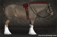 Horse Color:Chocolate Palomino