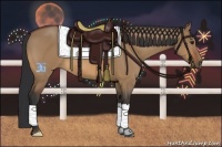 Horse Color:Bay Dun