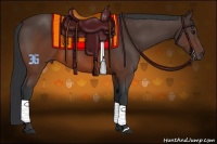 Horse Color:Brown 