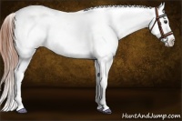 Horse Color:Bay Splash Varnish 