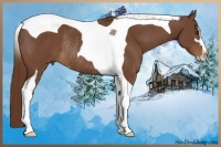 Horse Color:Chestnut Sabino Tobiano Rabicano