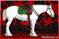 Horse Color:Red Dun Frame Appaloosa Rabicano 