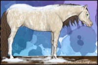Horse Color:Classic Cream Champagne Ice Dun