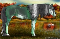 Horse Color:Black Sabino