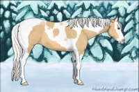 Horse Color:Silver Buckskin Splash Tobiano