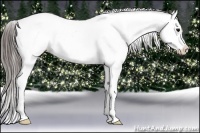 Horse Color:White Spotted Blue Roan Varnish 