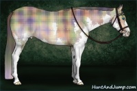 Horse Color:Nacre Plaid  Buckskin Splash 