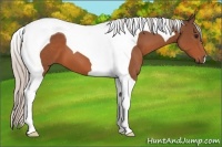 Horse Color:Silver Bay Tobiano 