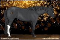 Horse Color:Blue Roan 