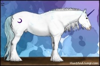 Horse Color:Watercolor Smoky Black Ice Sabino Appaloosa Rabicano