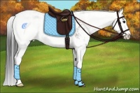 Horse Color:Grullo Sabino Splash