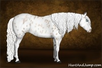 Horse Color:Silver Buckskin Pearl Sabino Near Leopard Rabicano 