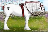 Horse Color:Liver Chestnut Tobiano Appaloosa