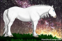 Horse Color:Gray Smoky Grullo Pearl Splash 