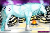 Horse Color:Thunderstruck Smoky Black Pearl Snowcap