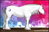 Horse Color:Watercolor Brown Appaloosa