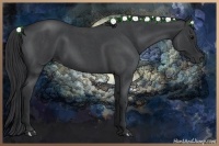 Horse Color:Blue Roan 