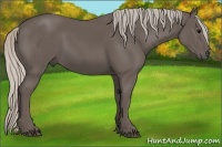 Horse Color:Silver Black