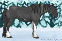 Horse Color:Smoky Blue Roan Tobiano 