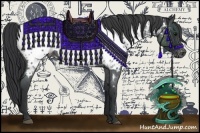 Horse Color:Blue Roan Appaloosa