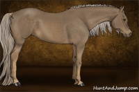 Horse Color:Chocolate Palomino 