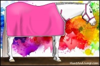 Horse Color:Buckskin Splash Appaloosa Rabicano 