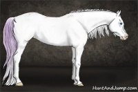 Horse Color:Watercolor Perlino Onyx Sabino Splash 