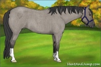 Horse Color:Smoky Grullo Roan 