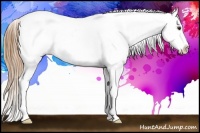 Horse Color:Chestnut Blanket 