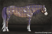 Horse Color:Plaid  White Spotted Liver Chestnut Splash 