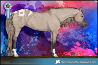 Horse Color:Liver Red Dun Appaloosa
