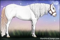 Horse Color:White Spotted Chestnut Sabino Appaloosa Rabicano 