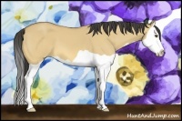 Horse Color:Buckskin Dun Splash 
