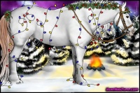 Horse Color:Brown Appaloosa 