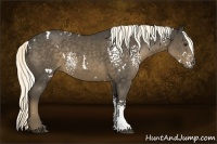 Horse Color:White Spotted Liver Chestnut Rabicano 
