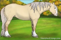 Horse Color:Silver Amber Champagne Dun Splash 