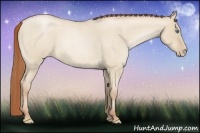 Horse Color:Smoky Grullo Roan Pearl 