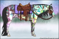 Horse Color:Bay Sabino Rabicano