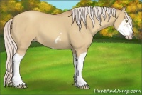 Horse Color:Silver Classic Champagne Dun Splash Frame 