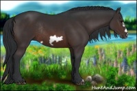 Horse Color:Brown Frame Rabicano