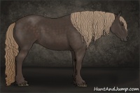 Horse Color:Liver Chestnut Sabino Rabicano 