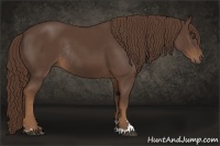 Horse Color:Liver Chestnut Sabino Rabicano