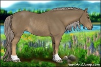 Horse Color:Chocolate Palomino Rabicano