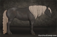 Horse Color:Liver Chestnut Sabino Rabicano