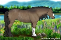 Horse Color:Liver Chestnut Rabicano