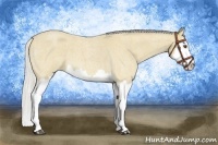 Horse Color:Silver Buckskin Roan Splash 