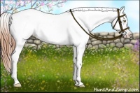 Horse Color:Amber Champagne Appaloosa 