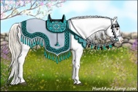 Horse Color:Palomino Appaloosa